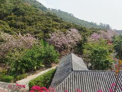 -小南山公园