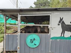 -元鼎宝驴香·全驴宴(江宁店)