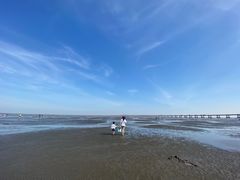 -南汇新城海滩