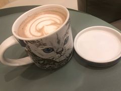 -飞行喵MR PILOT|猫舍·猫咖(静安大融城店)