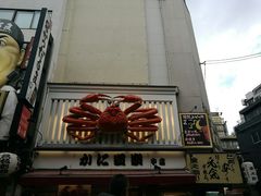 -蟹道乐(道顿堀本店)