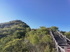 -大岭沟猕猴桃谷风景区