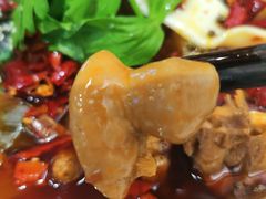 -晓彭肥肠鸡·泡椒鸡火锅(水木天地店)