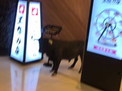 -黑牛の店·和牛烧肉(大悦城店)