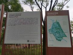 -东郊湿地公园