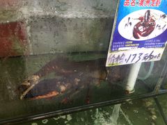 -南海渔家•海鲜•正宗海南菜(海棠湾店)
