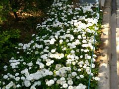 -宝鸡植物园