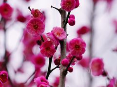 -眉山湿地公园(东坡区)