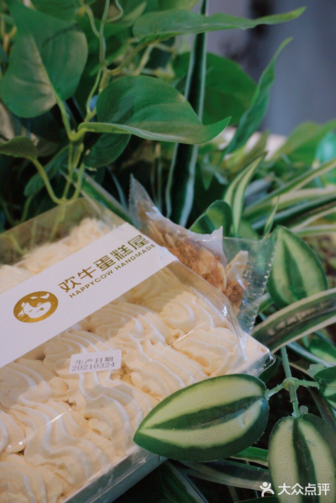 你可以往回看，但别往回走，来自欢牛甜品屋的心灵鸡汤