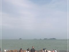 -野狸岛