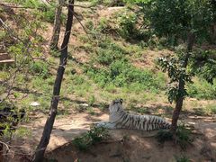 -石家庄市动物园