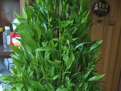 -静沐人生养生馆(佳宁娜分店)