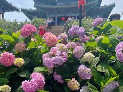 -阅江楼风景区