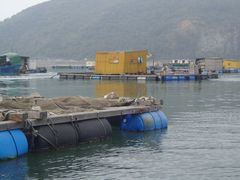 景观位-海上驿站渔家菜馆