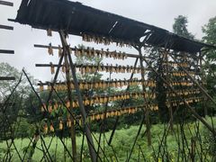 -武隆天坑寨子景区