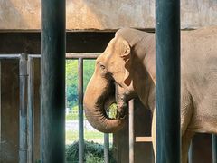 -石家庄市动物园