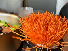 -罗勒家·养生火锅· Bistro(大望路店)