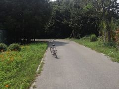 android_upload_pic-梁鸿国家湿地公园