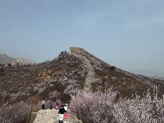 -龙泉峪长城