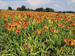 -汉长安城未央宫国家考古遗址公园