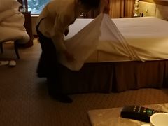 -澳门十六浦索菲特大酒店