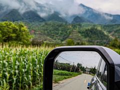 -王顺山国家森林公园