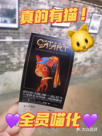魔都看展丨CAT ART 全员喵化，真的有猫！