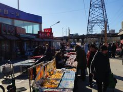 -中环花鸟鱼虫市场