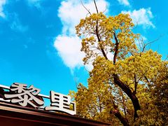-黎里古镇