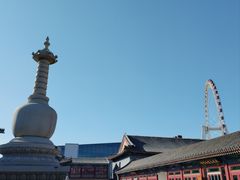 -天津大悲禅院
