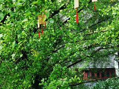 -大慈岩风景区