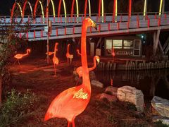 -大兴滨河森林公园