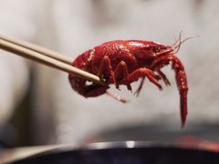 -红钳侠小龙虾·烧烤(中赢康康谷店)