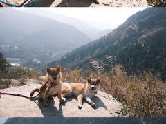 -龙洞风景区-藏龙涧