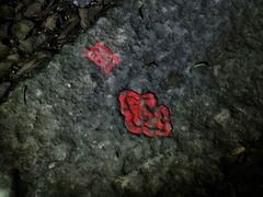 -西湖风景区十里琅珰-五云山