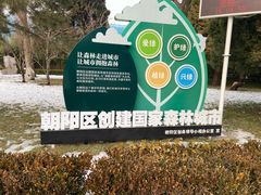 -团结湖公园
