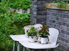 -三忘湖 SWANSEEN(柳荫公园店)