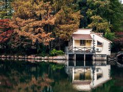 -上海共青森林公园