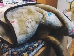 -猫的天空之城概念书店(杭州南宋御街店)