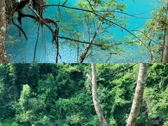 -三门海