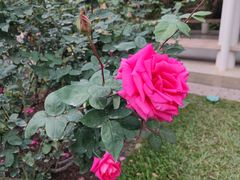 -人民公园(罗湖区)