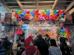 -越秀西湖花市(广州城市广场花卉店)