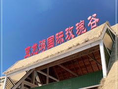 -亚龙湾国际玫瑰谷