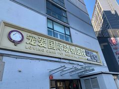 -宠爱国际动物医院·疑难骨科·心肾内科·皮肤科(太阳宫店)