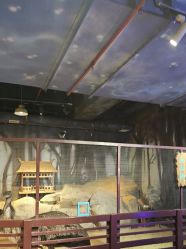 -酷嗒动物文化乐园(cutezoo西溪乐天城店)