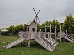 -紫颐香薰山谷景区