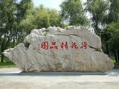 -微山湖红荷湿地景区