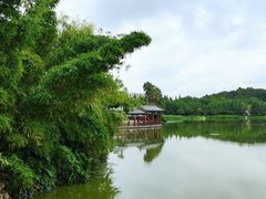 -洛龙公园