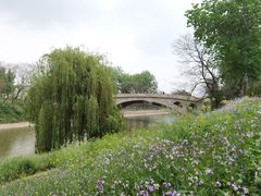 -赵州桥景区