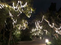 -三亚亚龙湾五号度假别墅酒店
